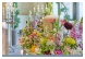 Blumenwiese