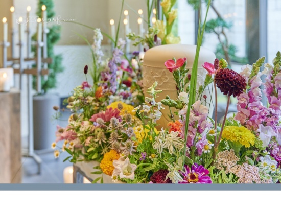 Blumenwiese  